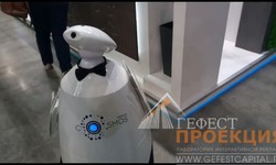 Компания Гефест Капитал предоставила в аренду - рекламного робота, на выставку Пир 2017